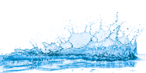 Read more about the article The Three Pillars of Moisture