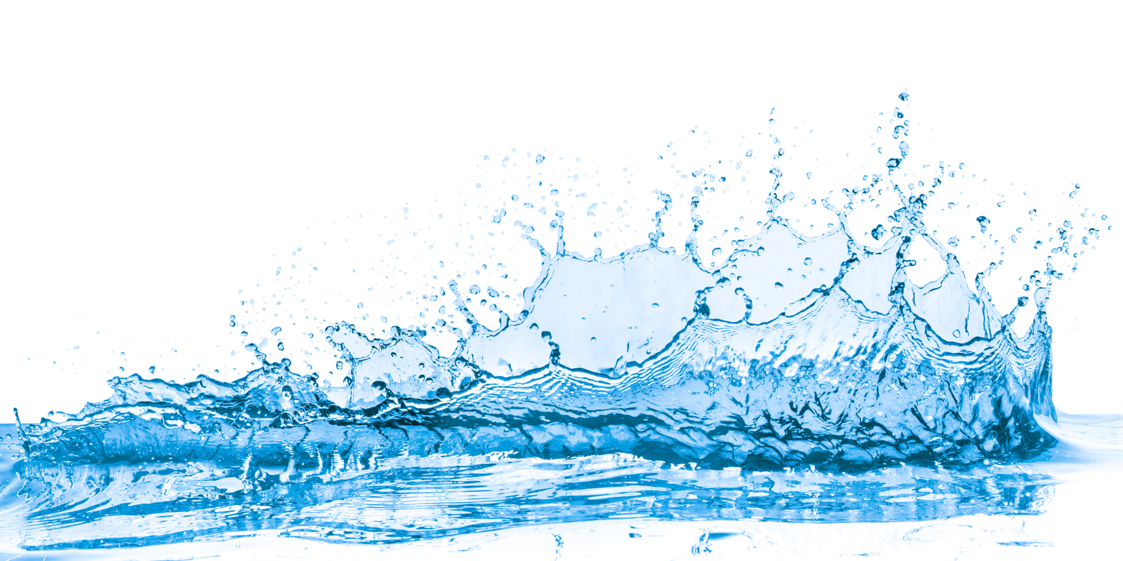 Read more about the article The Three Pillars of Moisture